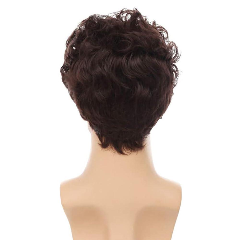 imageCurly Black Short Mens Wig Afro Fluffy Synthetic Cosplay Halloween Hair Wigs for Men Costume Use BlackBrown