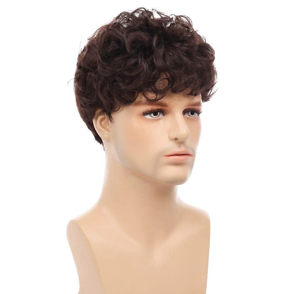 imageCurly Black Short Mens Wig Afro Fluffy Synthetic Cosplay Halloween Hair Wigs for Men Costume Use BlackBrown