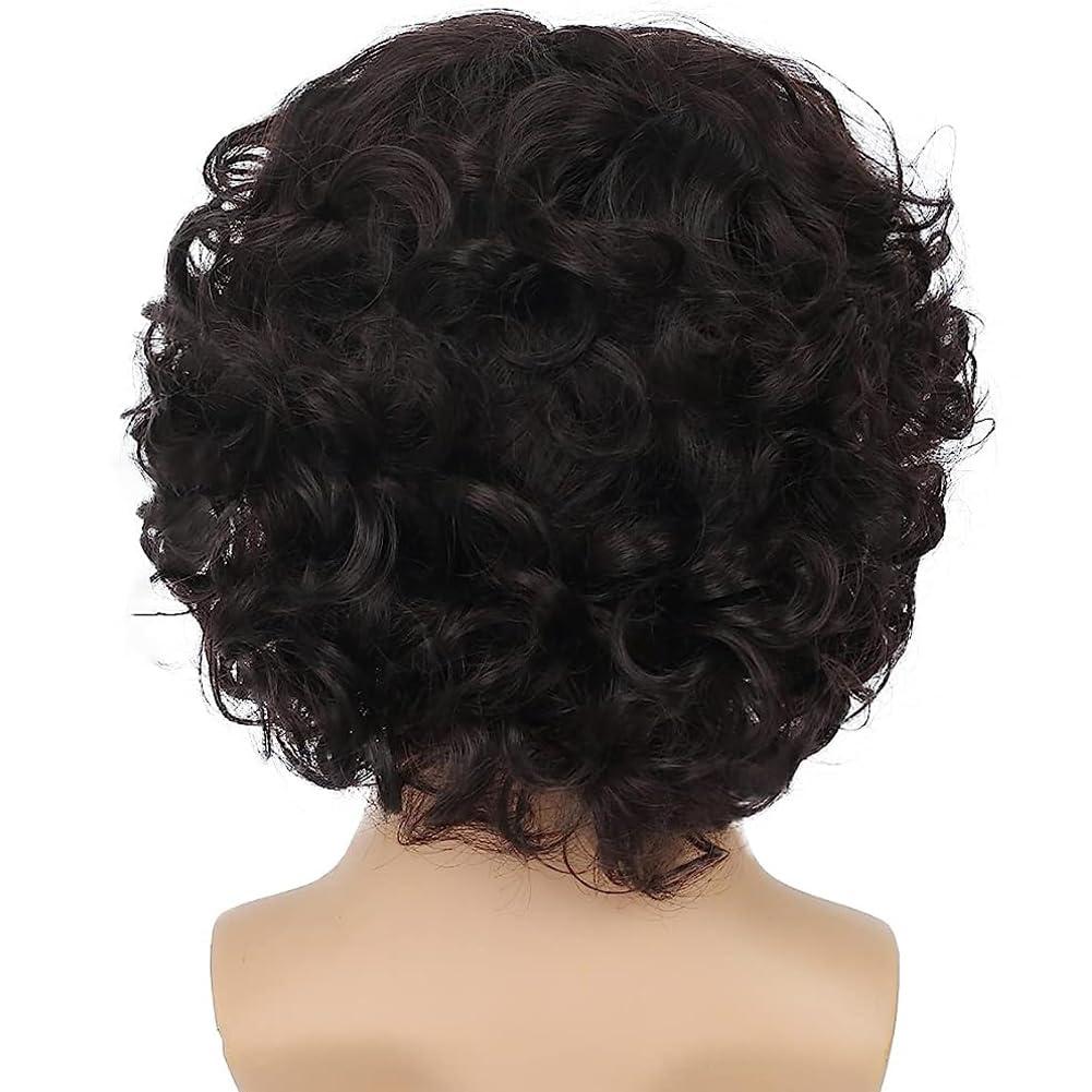 imageWhite Mens Short Wig Natural Fluffy Synthetic Hair Wig for Male Guy Daily Party Costume Wig WhiteDark Brown