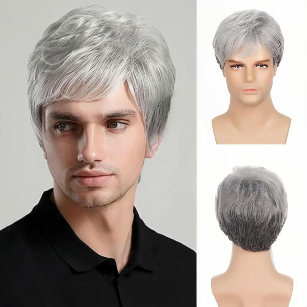 imageWhite Mens Short Wig Natural Fluffy Synthetic Hair Wig for Male Guy Daily Party Costume Wig WhiteNatural Grey