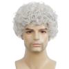 imageBrown Curly Short Afro Wig for Male Guy California Mens Cosplay Costume Daily Hair Synthetic Halloween Mens Full WigsGrey Color