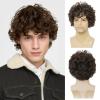 imageMens Brown Short Curly Wig Synthetic Heat Resistant Hair Wigs for Male Cosplay Halloween Daily Guy