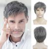 imageShort Grey Wigs for Men Natural Fluffy Hair Costume Wigs Daily Replacement Wig for Male Guy