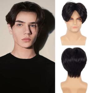 Brown Men Wigs Short Layered Straight Middle Part Fluffy Hair for Male Guy Synthetic Daily Cosplay Wigs with Cap（Brown）(Black)
