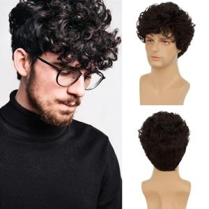 Curly Black Short Mens Wig Afro Fluffy Synthetic Cosplay Halloween Hair Wigs for Men Costume Use (Black)(Black)