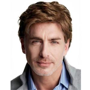 Mens Black Short Wigs Natural Hair Male Wig Fluffy Synthetic Fibre Heat Resistant Halloween Cosplay Wig(Brown)