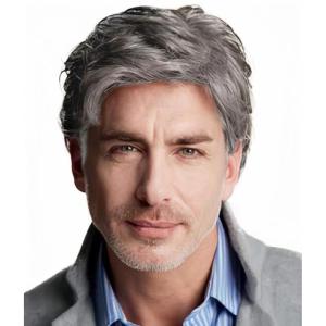 Mens Black Short Wigs Natural Hair Male Wig Fluffy Synthetic Fibre Heat Resistant Halloween Cosplay Wig(Grey)