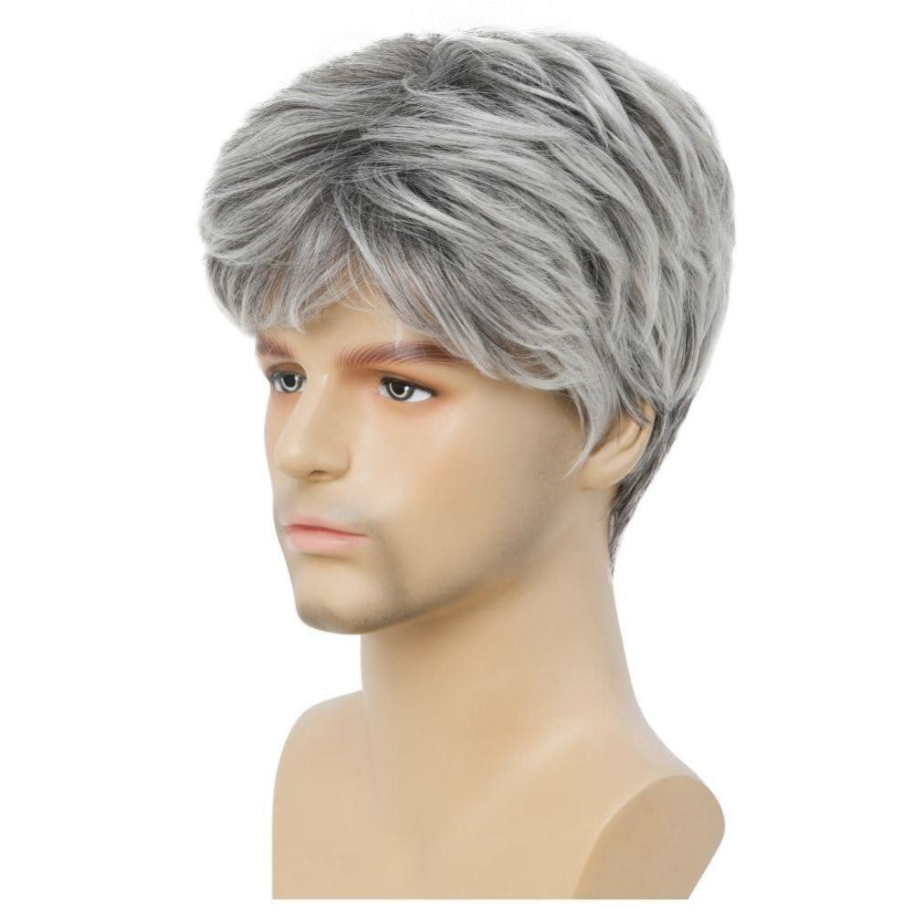 imageShort Grey Wigs for Men Natural Layered Synthetic Daily Halloween Gray Hair Wig for Male GuyGrey