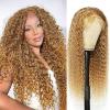 #27 Curly Kinky Wig